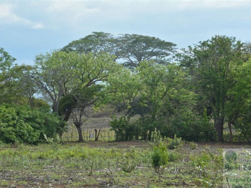 Ocean Front Lot Las Tablas Panama : Panama