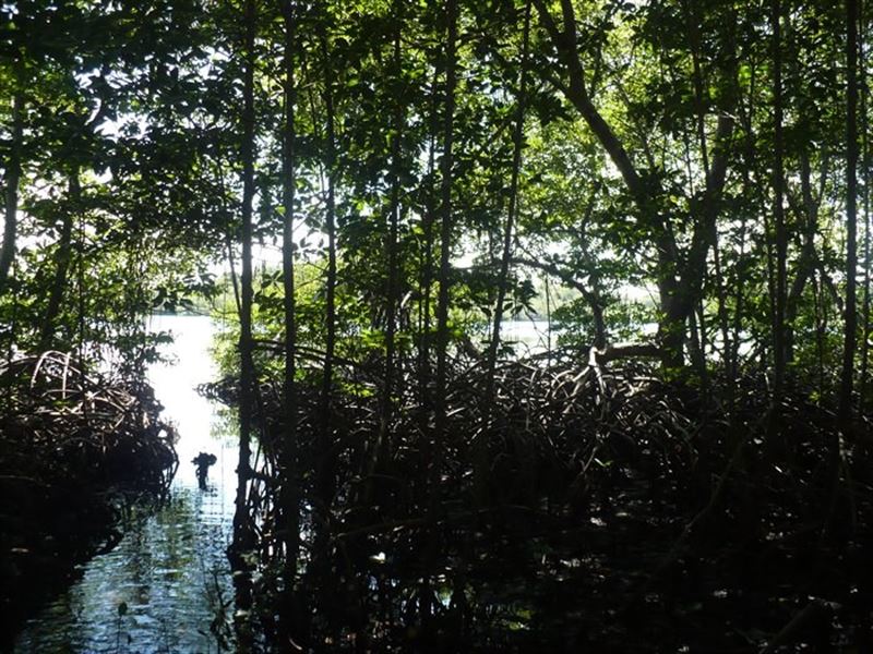 Titled Land-Isla Colon, Sea Road : Panama