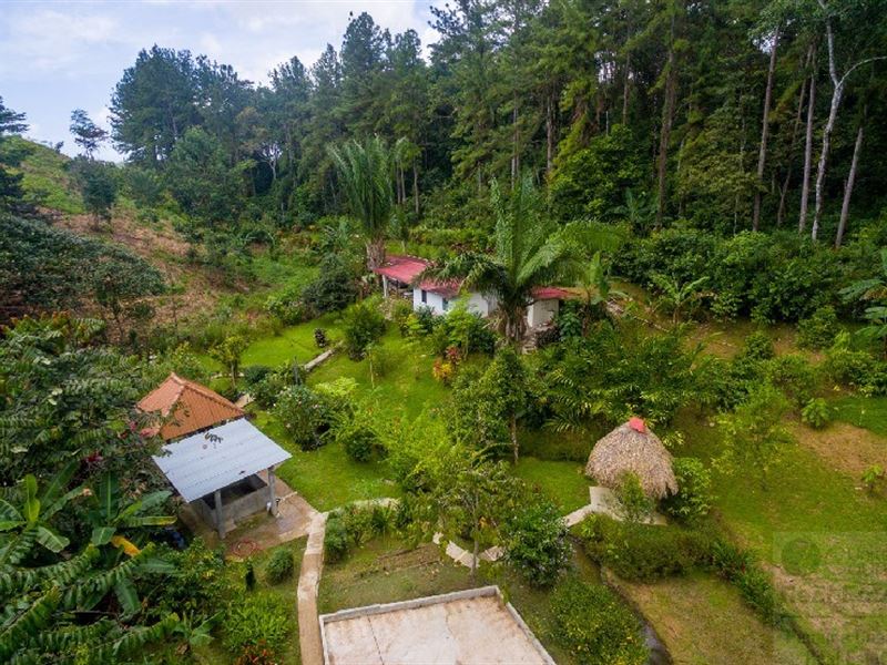 Coffee Farm Lot 2 Bedroom House, Farm for Sale in Panama, 160420