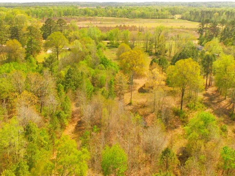 Land Caddo River, Arkadelphia, Farm for Sale in Arkansas, 160588