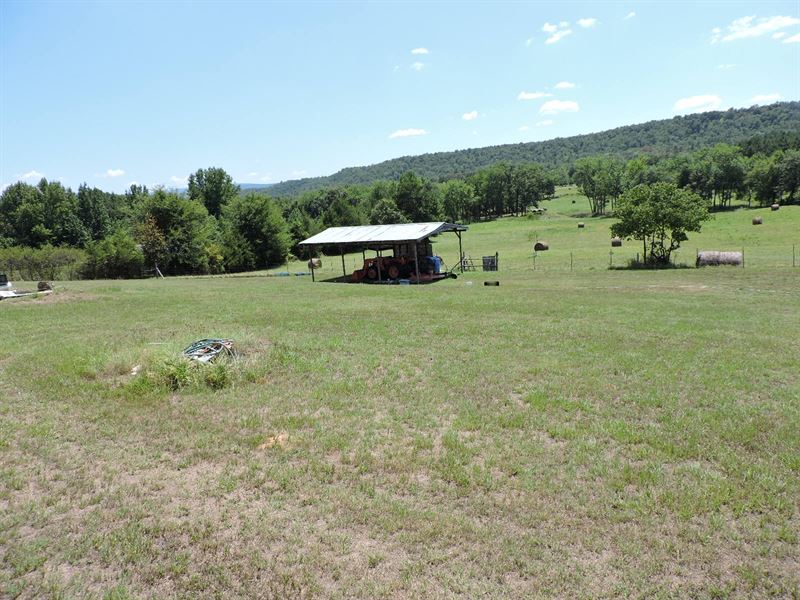 90 Acre Farm with Older Mobile Home : Booneville : Logan County : Arkansas