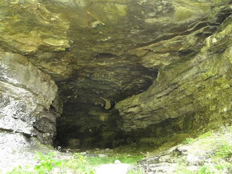 Cave Property Acreage Arkansas, Farm for Sale in Arkansas, 160730
