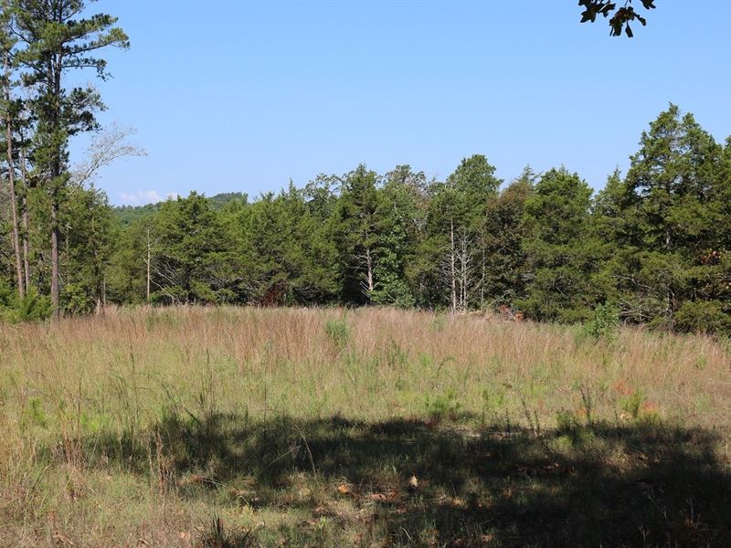 Raw Hunting Land in Arkansas : Mount Pleasant : Izard County : Arkansas