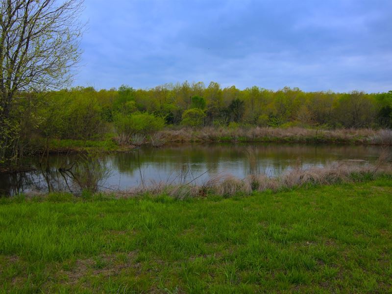 Farm Hunting in Ash Flat, Arkansas : Salem : Fulton County : Arkansas