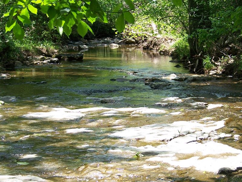 Creek Side 12+ Acre in Pyatt AR, Farm for Sale in Arkansas, 161321
