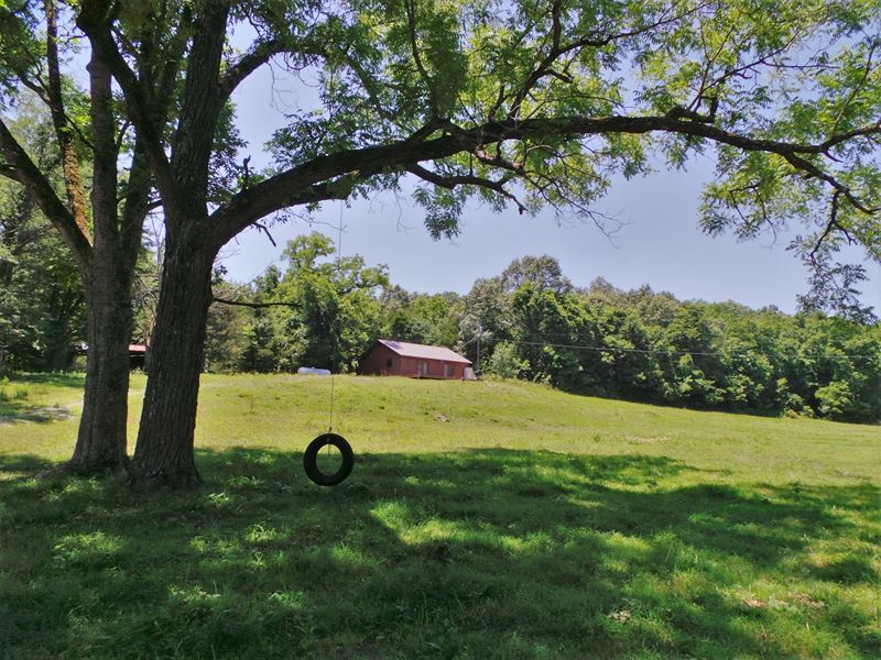 Upper Water Creek Farm for Sale : Yellville : Marion County : Arkansas