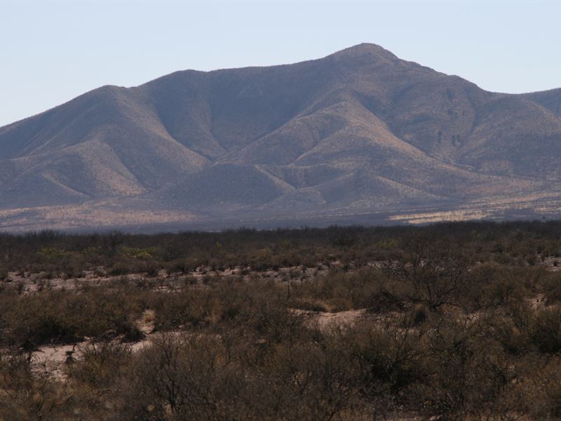 420 Acre Ranch in McNeal AZ, Farm for Sale in Arizona, 161531 FARMFLIP