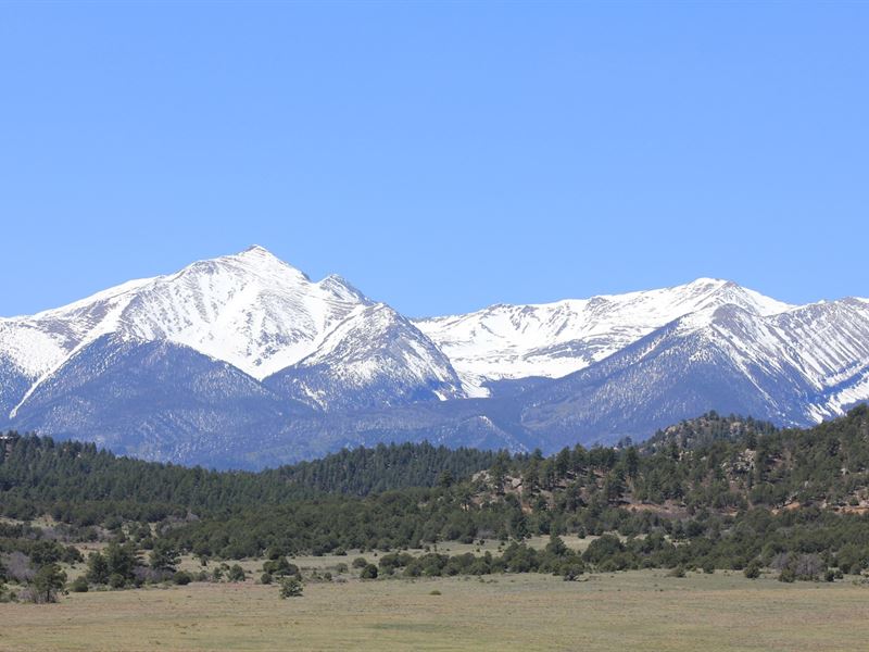 Land Historic Beckwith Mountain : Westcliffe : Custer County : Colorado
