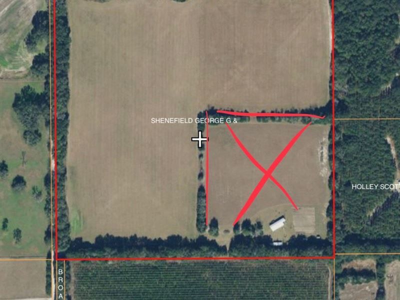 Vacant Land Pasture Bell Florida : Bell : Gilchrist County : Florida