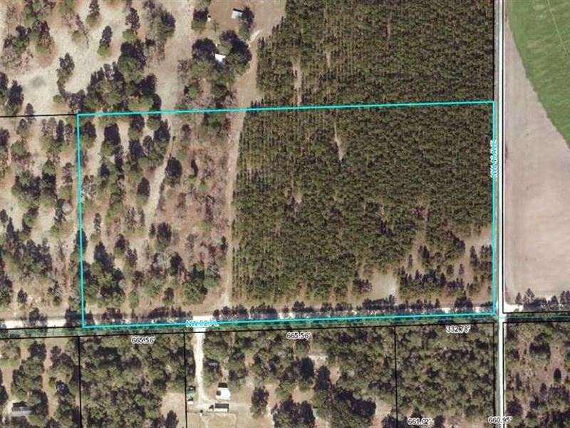 Gilchrist County, 20 Acres, Vacant : Bell : Gilchrist County : Florida