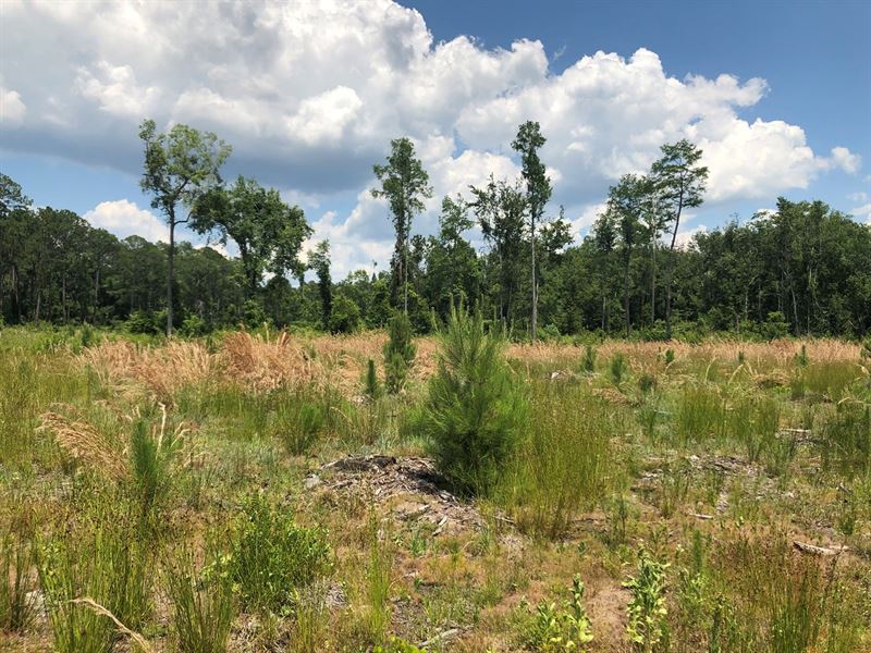Vacant Commercial/Industrial : Gainesville : Alachua County : Florida
