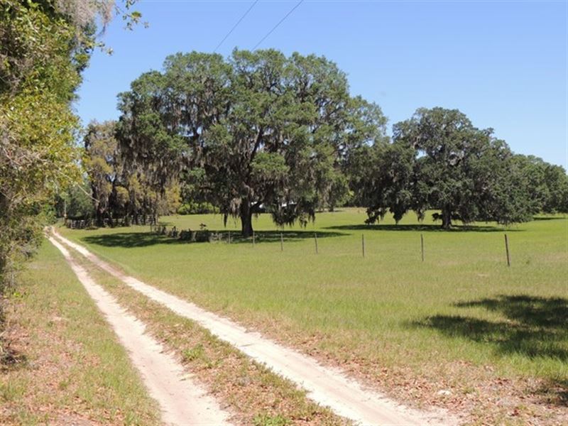 Newberry Farm Home Water/Full Old Farm for Sale in Newberry