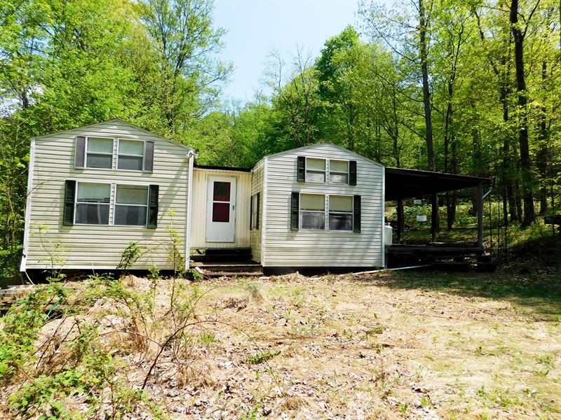 6.65 Acres in Western MD Farm for Sale in Oldtown, Allegany County