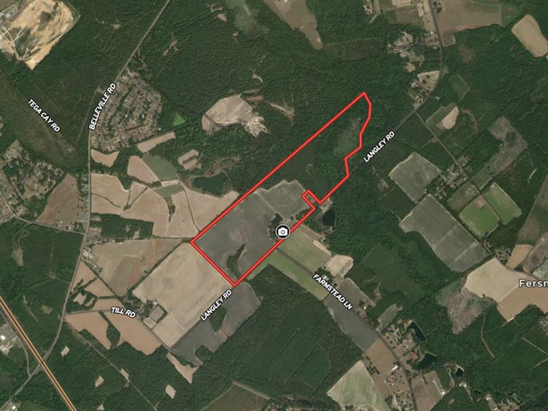 131.18 Acres : Orangeburg : Orangeburg County : South Carolina