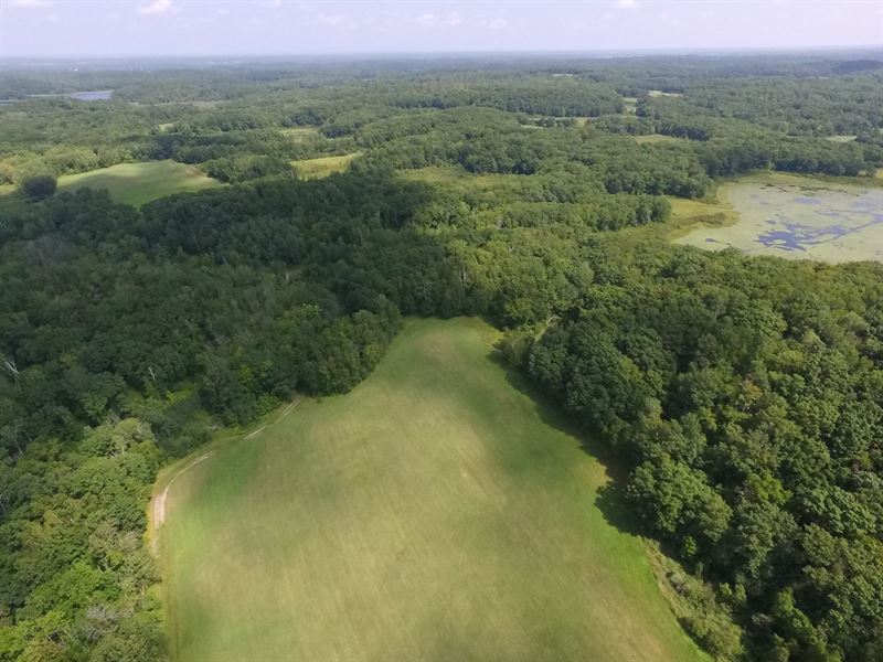 Cushing Mn, 280 Acres Farm Auction in Cushing, Todd County, Minnesota 163089 farmflip