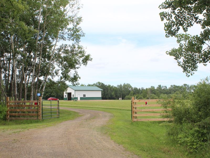 40 Acres Land Mille Lacs County, Farm for Sale in Minnesota, 163176