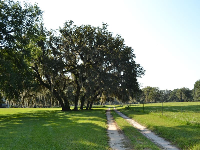 Suwannee River Homes For Sale : Suwannee River - Branford Real Estate - Branford FL Homes ... : Check spelling or type a new query.