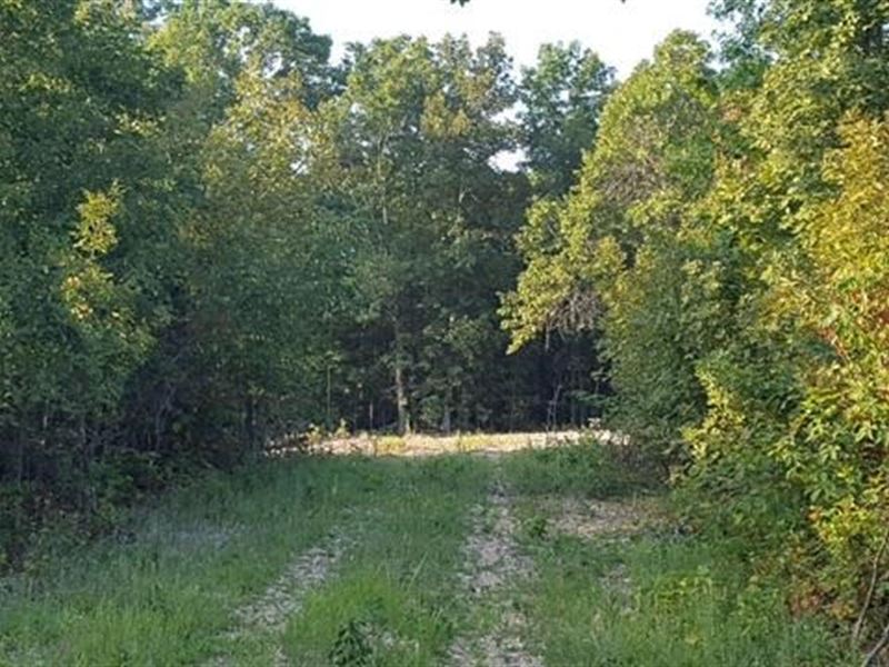 Land for Sale in The Ozarks : Thomasville : Oregon County : Missouri