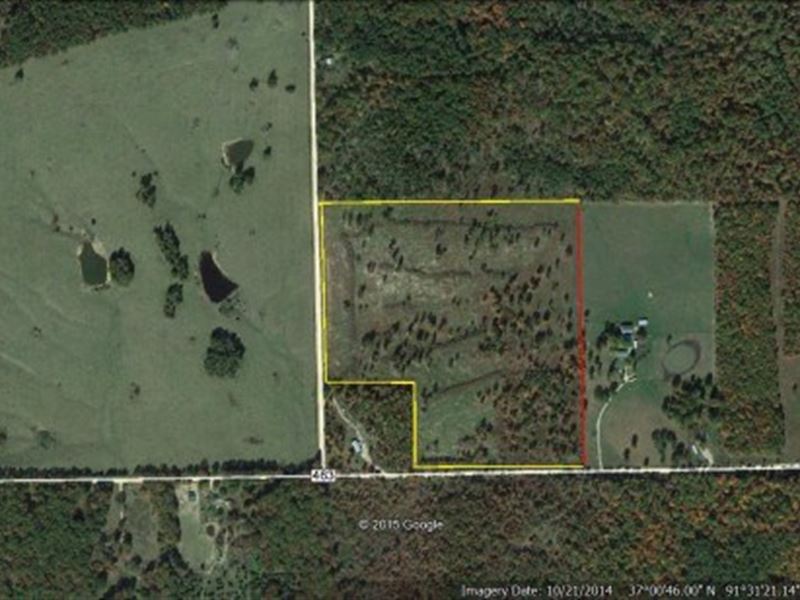 Land, Perimeter Fenced, Pasture : Birch Tree : Shannon County : Missouri