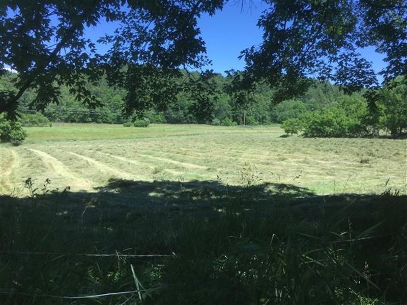Southern Missouri Land Eminence, Farm for Sale in Missouri, 163731