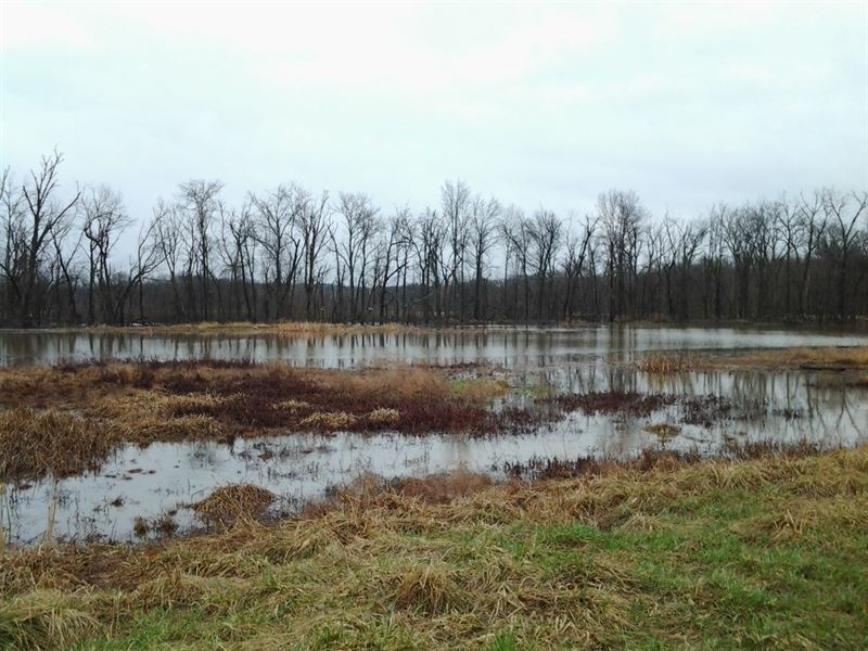 Land Mo, 100+ Acre Wetland : Fayette : Howard County : Missouri