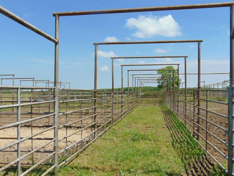 Cattle Ranch South Central Missouri, Farm for Sale in Missouri, 163846