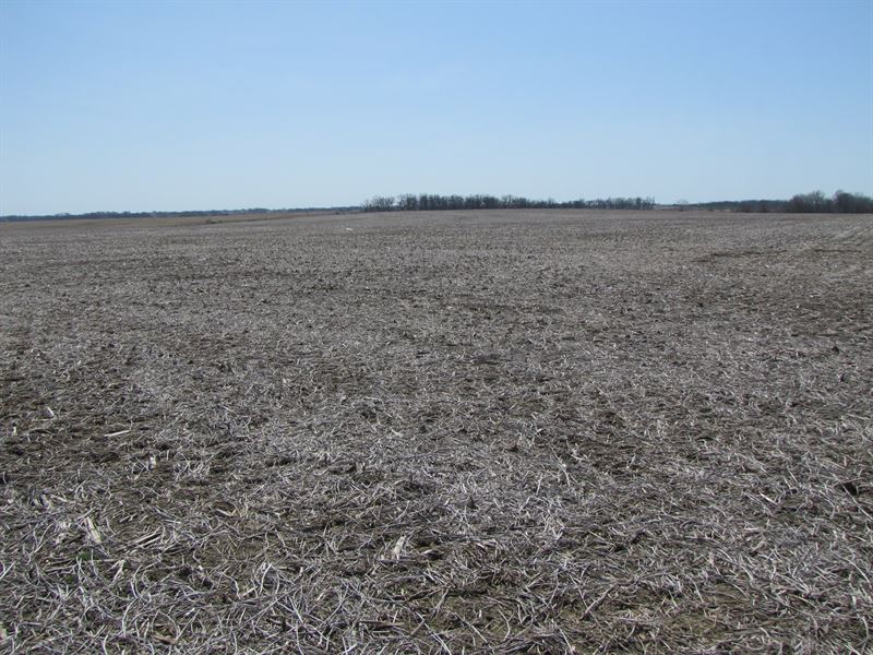 Mo Farmland, Flat/Black Row Crop, Farm for Sale in Missouri, 163901