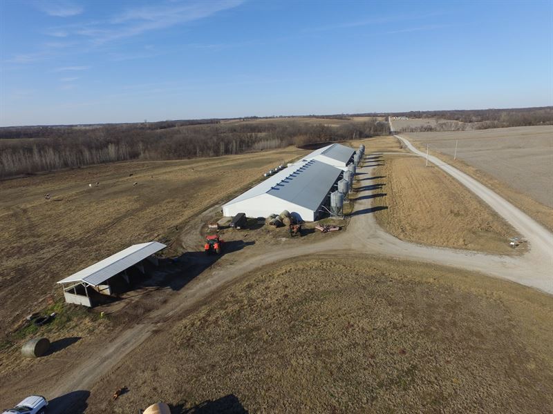 Producing Established Hog, Farm for Sale in Missouri, 164236