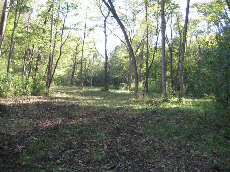 Missouri Hunting Land 15 Acres : Stover : Morgan County : Missouri