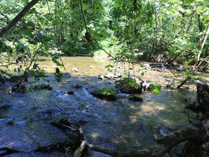 Missouri Ozarks Cattle Ranch Warm, Farm for Sale in Missouri, 164989