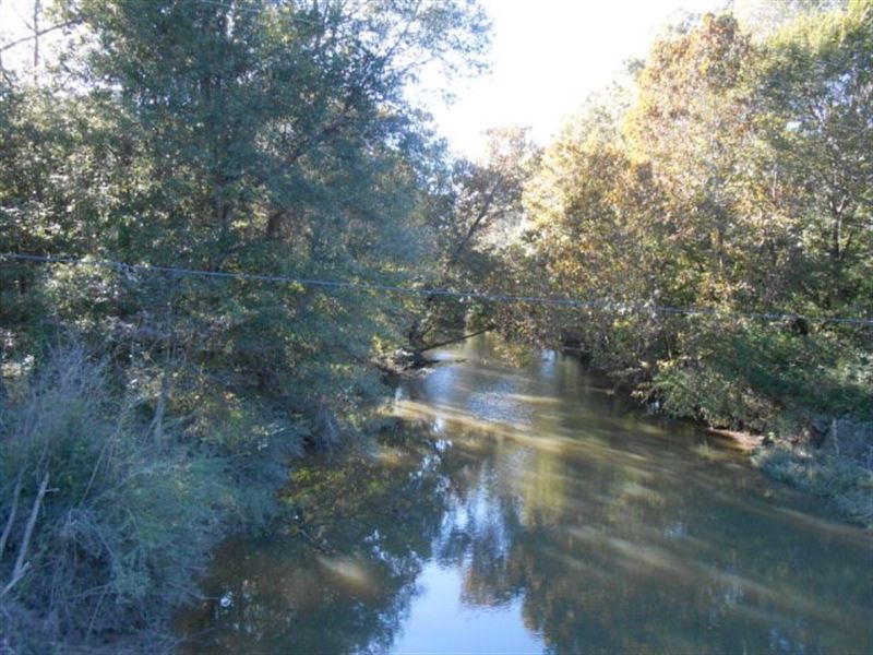 Hunting Land Amite County : Liberty : Amite County : Mississippi