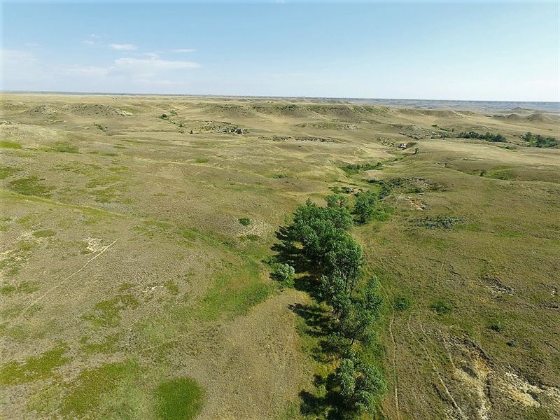 Pasture Tillable Acerage, Glendive : Glendive : Dawson County : Montana