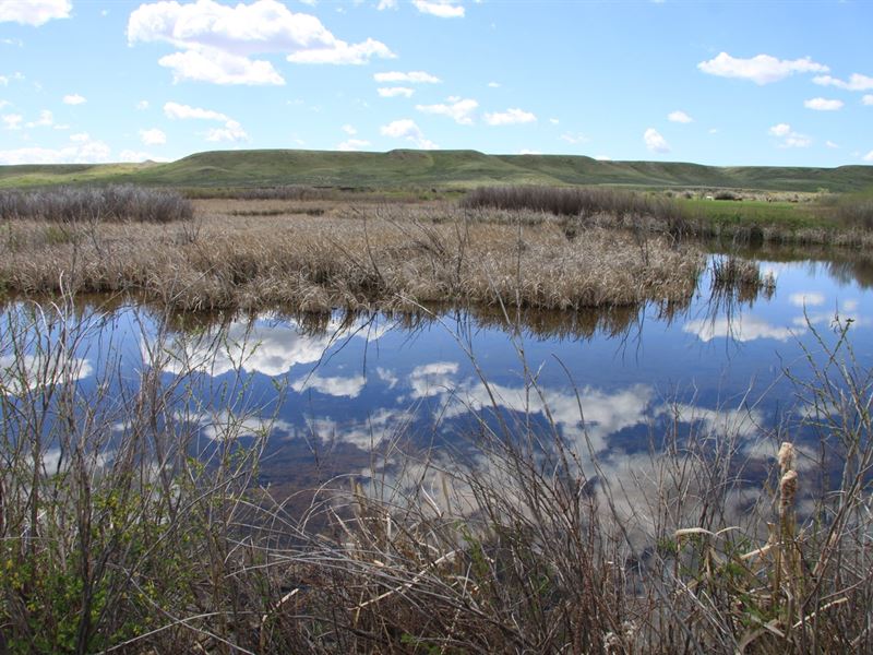 Central Montana Ranch Hunting, Farm for Sale in Montana, 165476 FARMFLIP