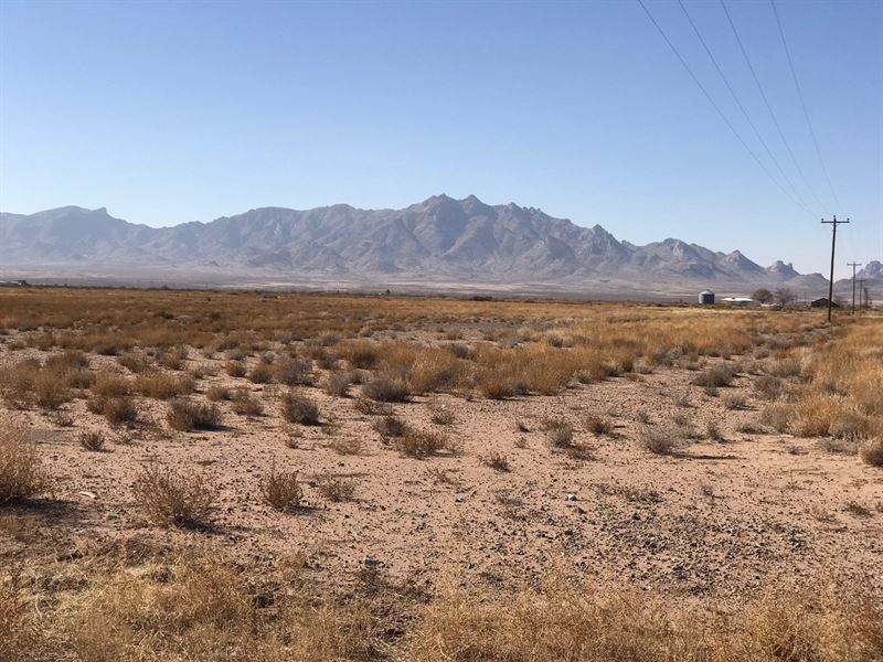 Farming in The High Desert Farm for Sale in Deming, Luna County, New