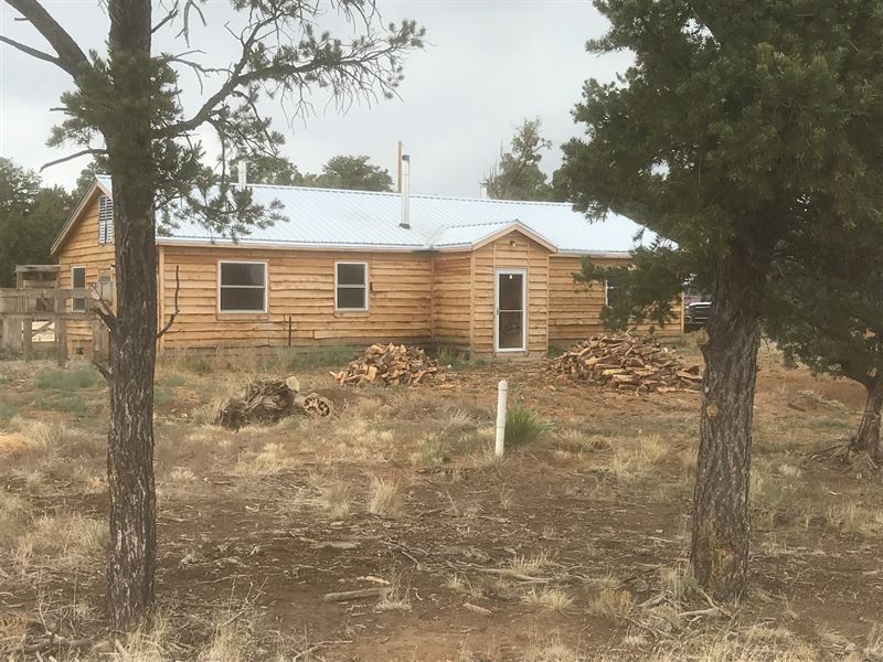 Northern NM Hunting Ranch / Acreage : Lindrith : Rio Arriba County : New Mexico