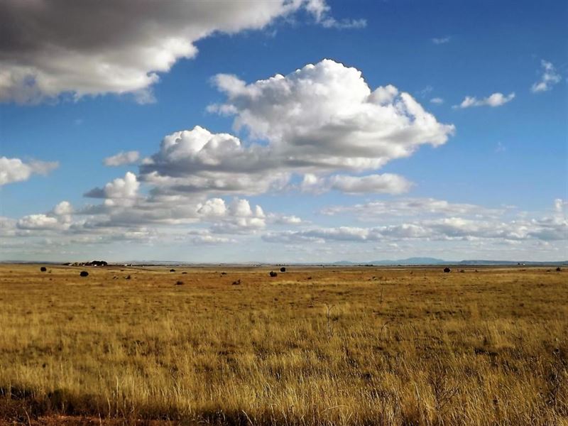 5 Acre Tract Estancia Valley : McIntosh : Torrance County : New Mexico