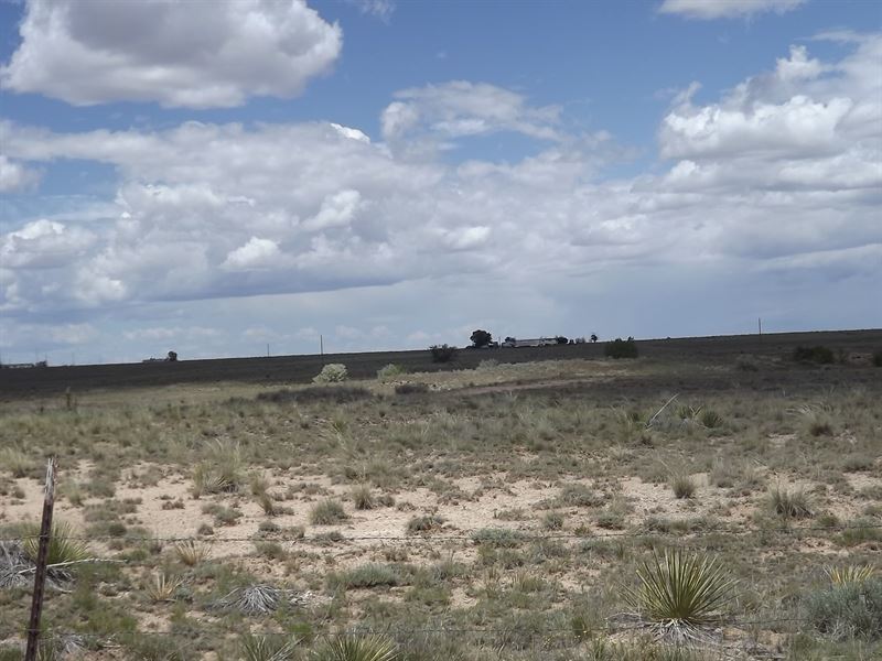 1,040 Acres Pasture Grassland : Moriarty : Torrance County : New Mexico