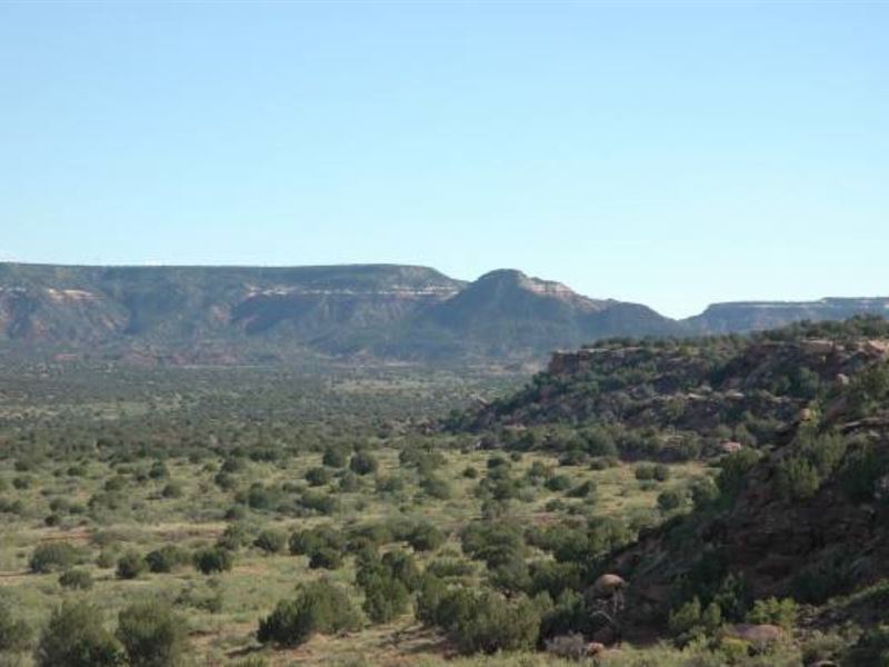 NM Land 140 Ac Guadalupe County : Newkirk : Guadalupe County : New Mexico