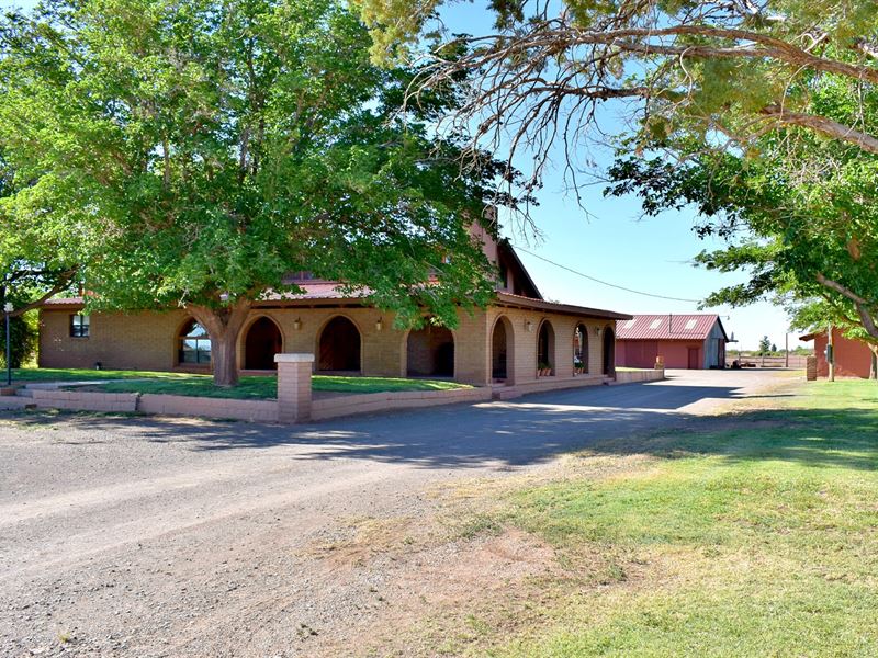 Custom Home, Equestrian Ranch Farm for Sale in Tularosa, Otero County, New Mexico 166166