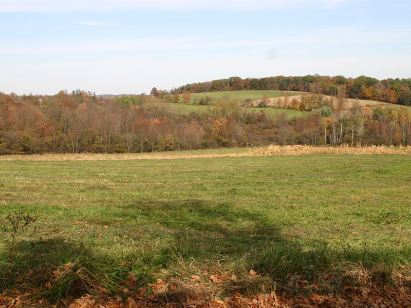 Hunting Land in New York Stat Farm for Sale in Candor, Tioga County