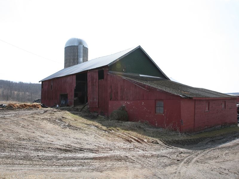 Dairy Farm, Transferable Milk, Farm for Sale in New York, 166193