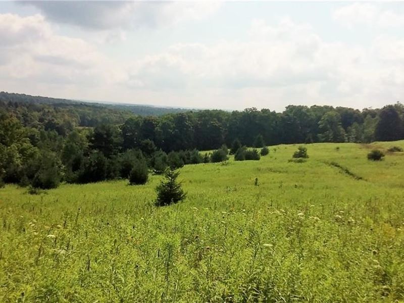 83 Acres Secluded Land Cortland, Farm for Sale in New York, 166200