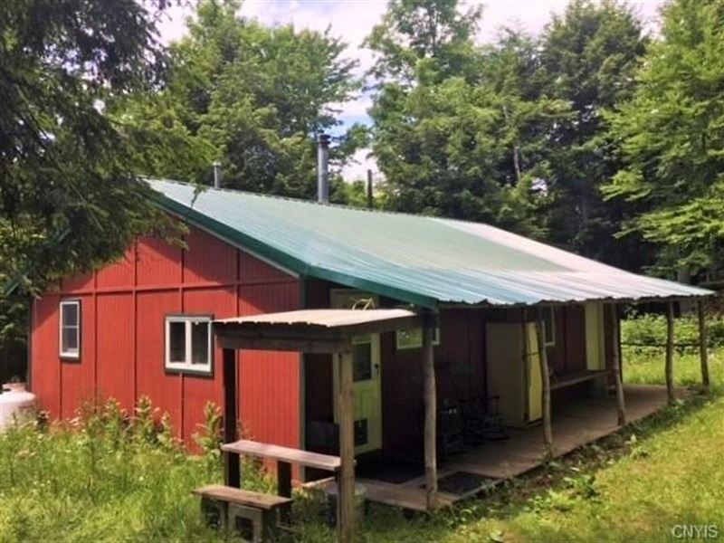 67 Acres Land, Cabin Chenango, Farm for Sale in New York, 166205