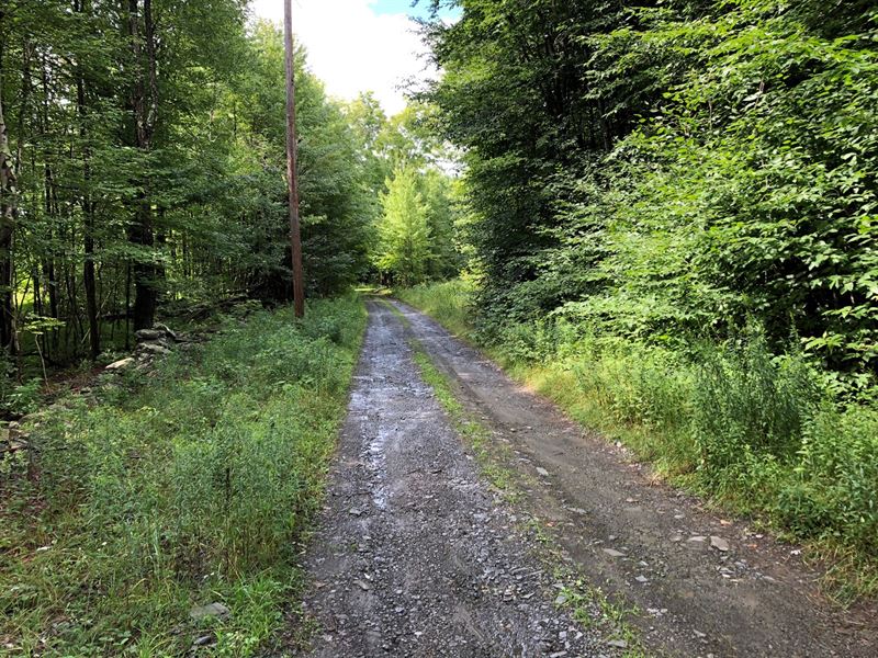 19.46 Acres of Land, Jefferson NY : Eagle : Schoharie County : New York