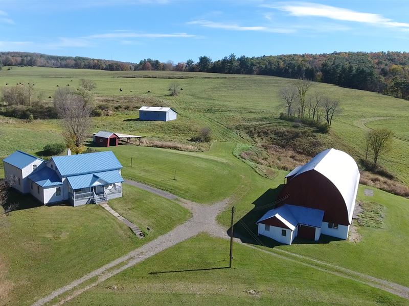 Family Farm, Good Farmhouse, Barn, Farm for Sale in New York, 166228 FARMFLIP