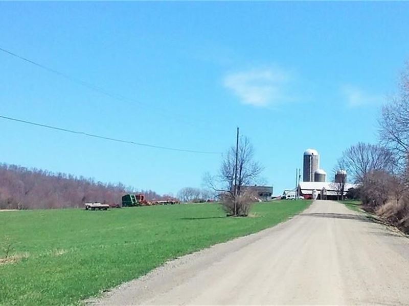 180 Acre Farm 1,524 Sq, Ft, Farm Farm for Sale in Taylor, Cortland