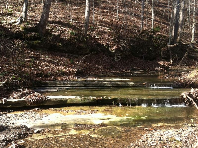 Kingston Springs, Tn Cheatham, Farm for Sale in Tennessee, 166785