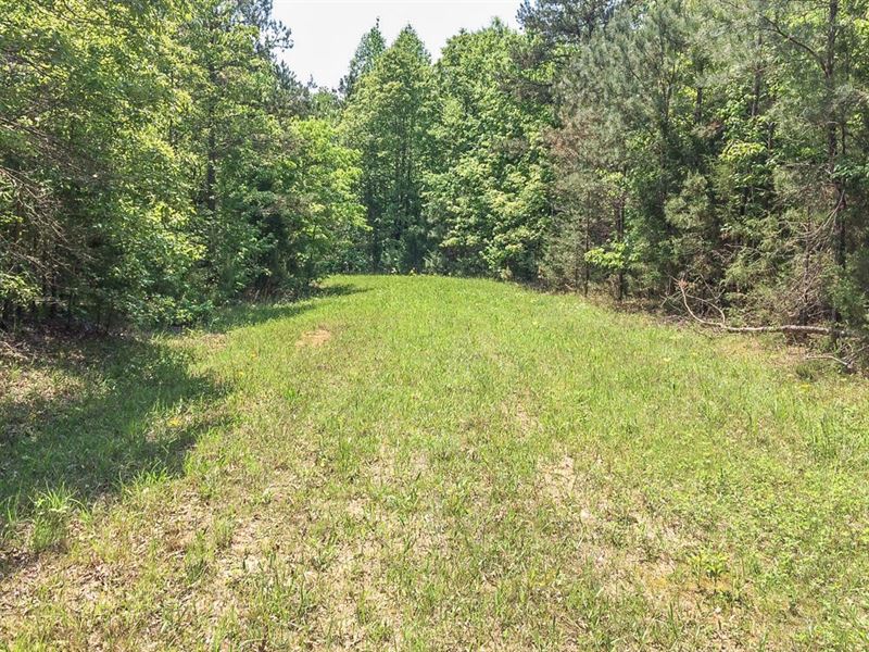 Beautiful Tract Land 44 Acres, Farm for Sale in Tennessee, 166929