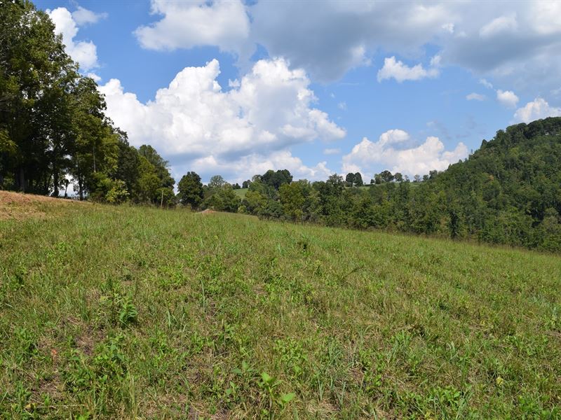 Vacant Land East Tennessee Farm for Sale in Tazewell, Claiborne