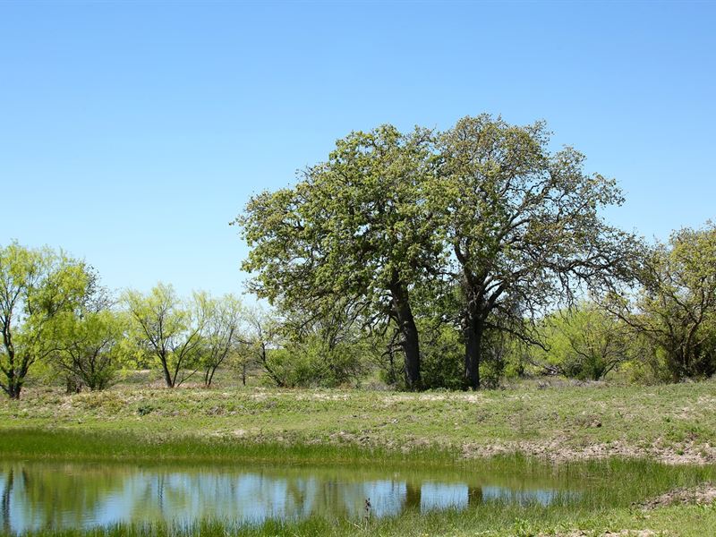 Brownwood TX Ranch, Hunting : Brownwood : Brown County : Texas